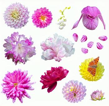 花切抜きセット 花切抜きセット 花,切抜き,psdの写真素材