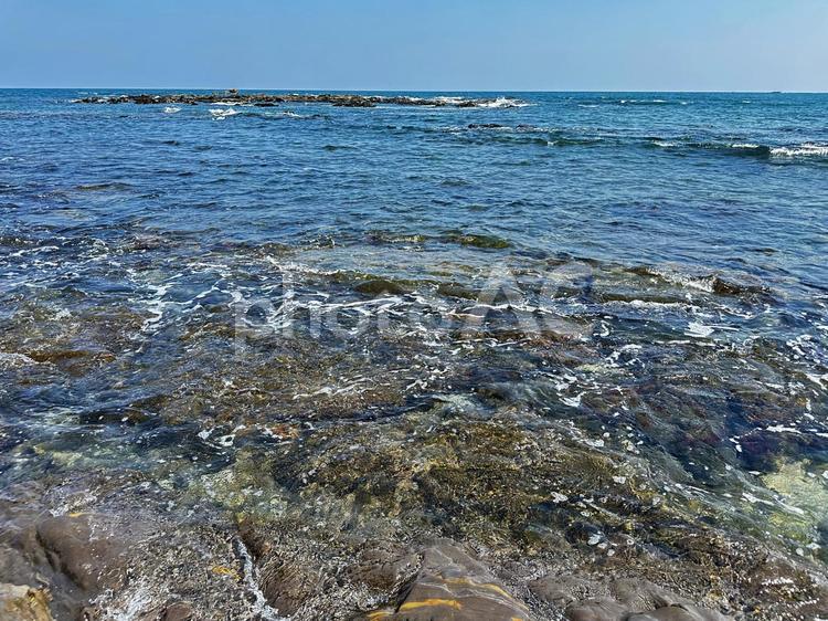 春の海　三輪崎海岸　海　黒潮 和歌山県新宮市,三輪崎海岸,海の写真素材