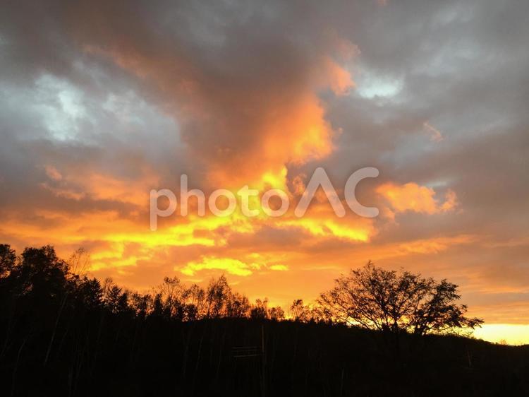 美瑛の夕焼け オレンジ,夕方,空の写真素材