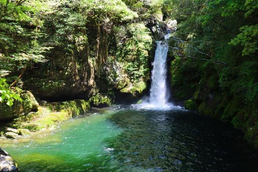 にこ淵の滝 四国,自然,にこ淵の滝の写真素材