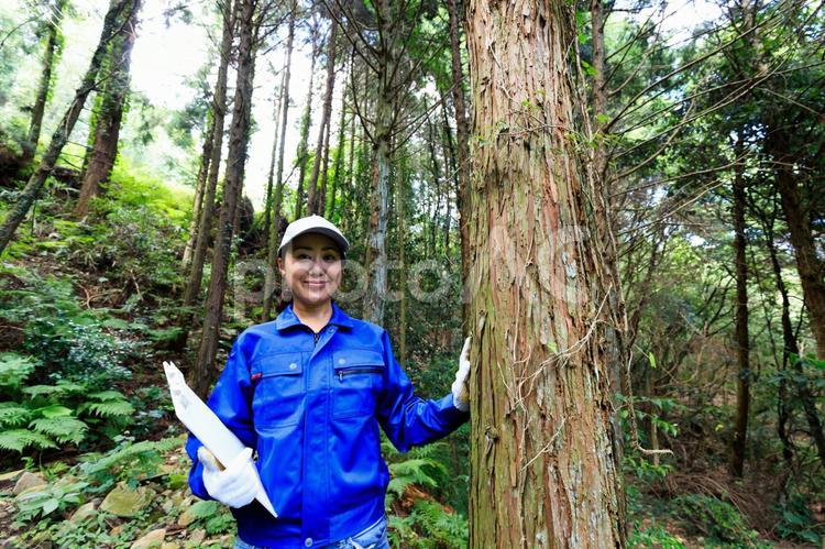 木に触れる作業服の女性 ビジネス,ビジネスイメージ,仕事の写真素材