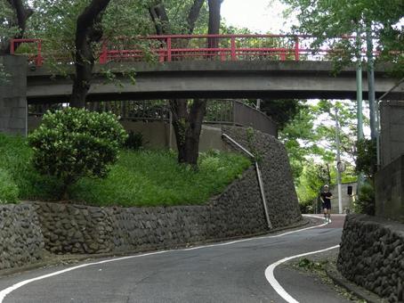 Rainbow Bridge in Tamagawadai Park, JPG