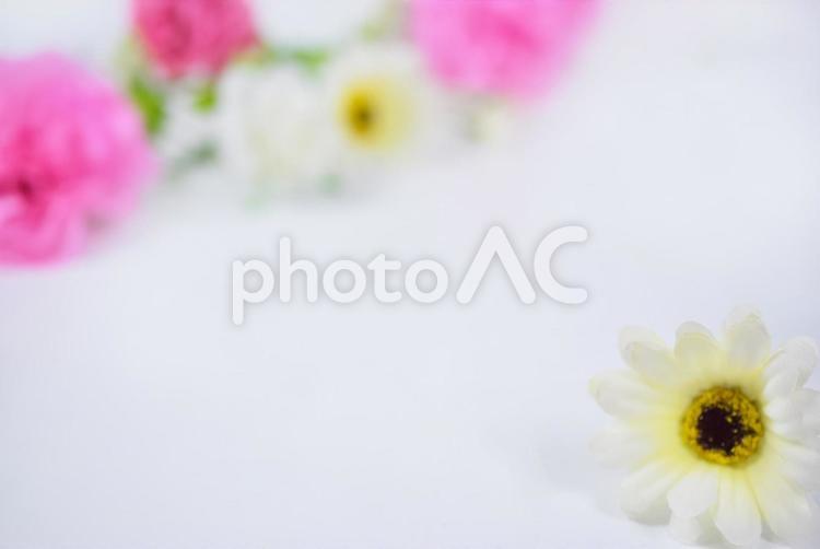かわいい花とハートの背景素材　母の日にカーネーション カーネーション,母の日,フラワーギフトの写真素材