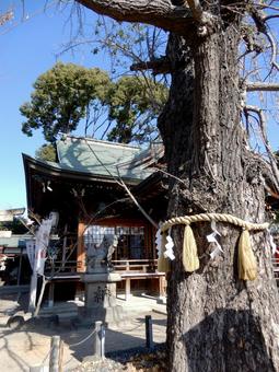 白山神社 大阪 白山神社 大阪 の写真