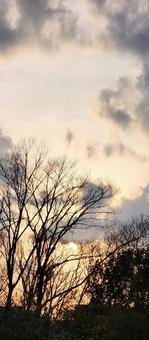 夕景 空,夕暮れ,夕方の写真素材