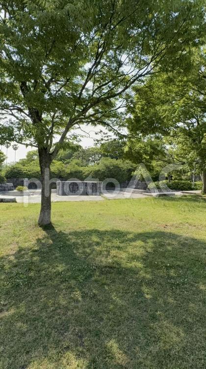 仏生山公園ステージ前 仏生山公園,ステージ前,芝生の写真素材