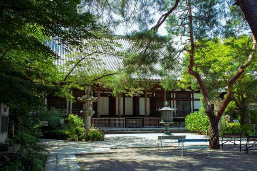 高幡不動 大日堂 高幡不動 大日堂の写真