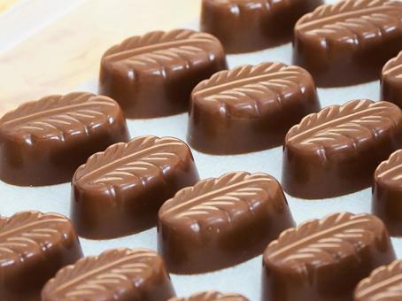 リーフ型チョコレートの整列 チョコレート,リーフ,葉っぱの写真素材