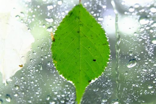 Raindrops, JPG