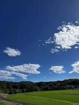 空と田んぼ 空と田んぼの写真