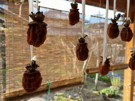 干し柿 干し柿,柿,渋柿の写真素材