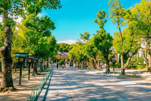 【兵庫】湊川神社 兵庫,神戸,湊川神社の写真素材