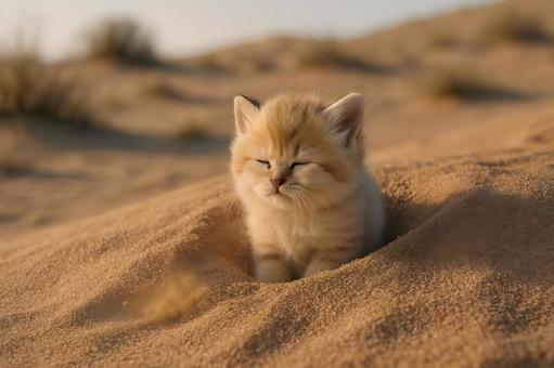 砂穴から子スナネコ 砂穴から子スナネコの写真