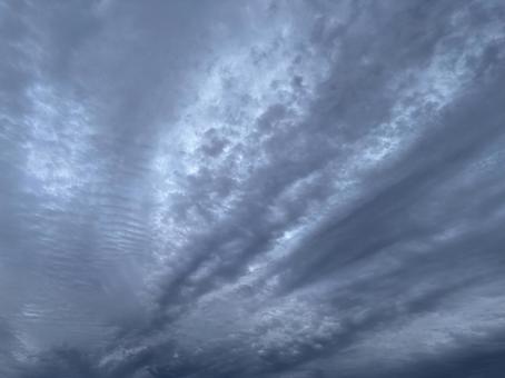 墨絵のような秋の空の曇 墨絵のような秋の空の曇 灰色,空,曇りの写真素材