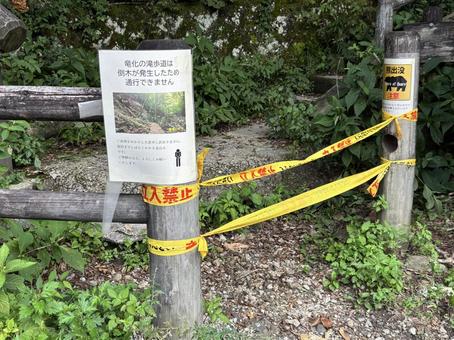 竜化の滝 風景 竜化の滝 風景 竜化の滝,風景,塩原温泉郷の写真素材
