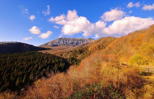 秋の紅葉・大山 紅葉,大山,鳥取大山の写真素材