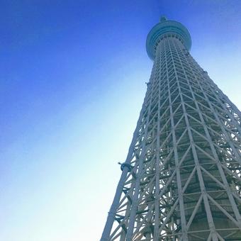 東京スカイツリー 東京スカイツリーの写真