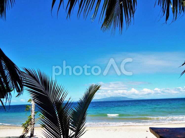 フィリピン　プエルトガレラ　ビーチ フィリピン,プエルトガレラ,ビーチの写真素材