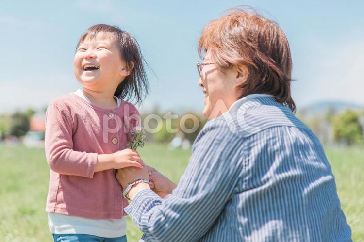 おばあちゃんに花を渡す子供（幼児・笑顔） 子供,孫,敬老の日の写真素材