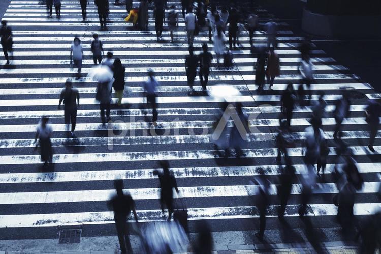 横断歩道を渡る人々 ビジネス,社会,不景気の写真素材