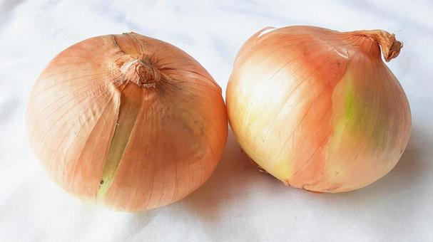 たまねぎふたつ たまねぎふたつ 玉葱,野菜,食材の写真素材