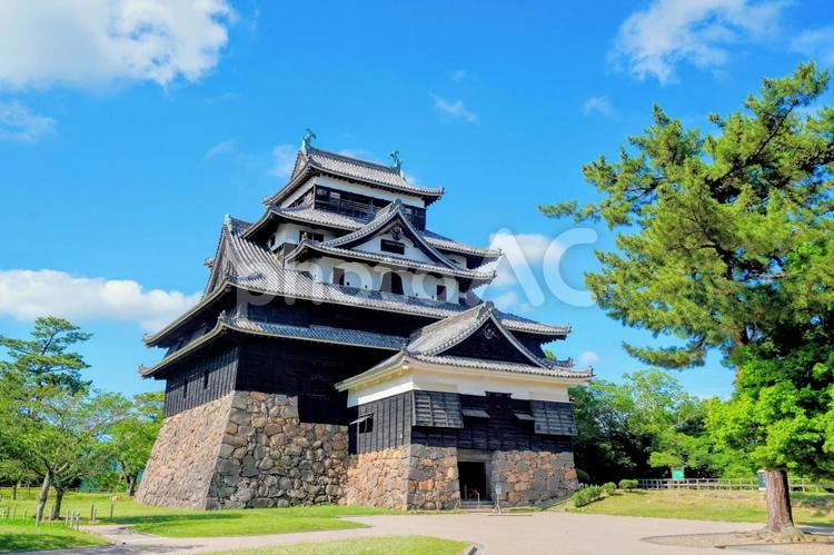 島根県松江市の国宝「松江城」 松江城,国宝,松江の写真素材