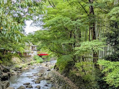 中伊豆の夏景色 中伊豆の夏景色の写真