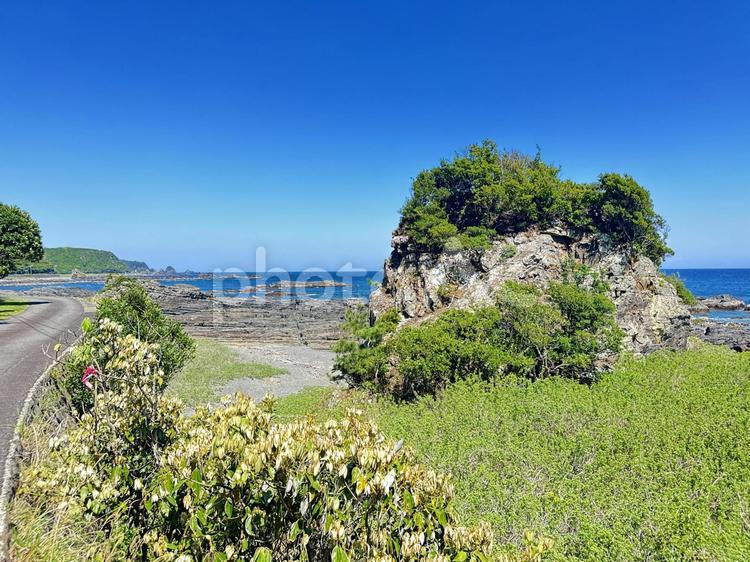 荒船海岸　海岸沿い 串本町の東端,熊野灘沿い,吉野熊野国立公園の写真素材