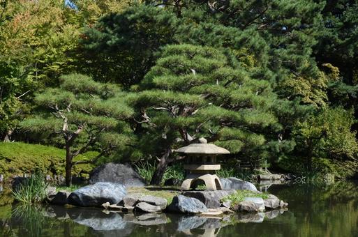 日本庭園 日本庭園の写真