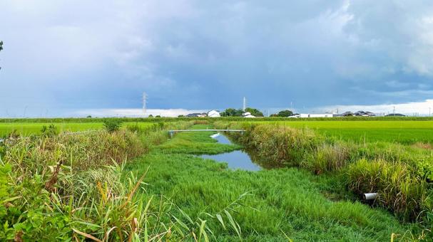 ひょうたん島公園の夏風景 ひょうたん島公園の夏風景 ひょうたん島公園,佐賀市,兵庫町の写真素材