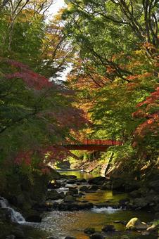秋を彩る修禅寺の赤い橋 秋を彩る修禅寺の赤い橋 紅葉,修禅寺,赤橋の写真素材