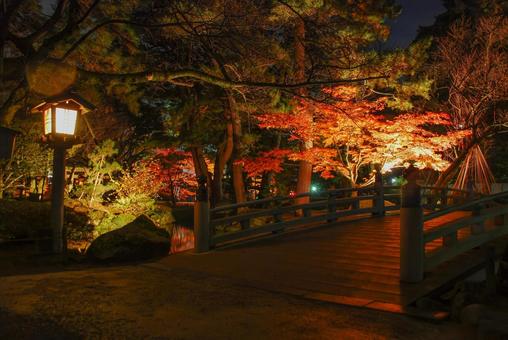 金沢 兼六園ライトアップ 花見橋（石川） 兼六園,日本庭園,和風の写真素材