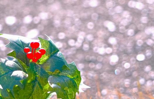 柊と玉ボケ クリスマス,柊,川の写真素材