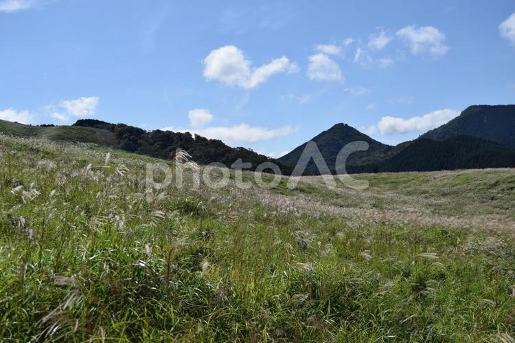 【奈良】曽爾高原の風景 曽爾高原,曽爾村,高原の写真素材