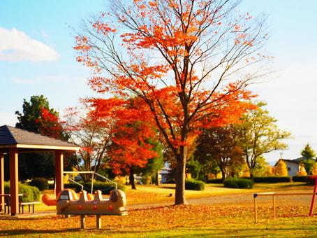 公園 公園の写真