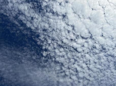 うろこ雲 うろこ雲の写真