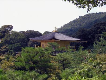金閣寺 京都 金閣寺 京都の写真