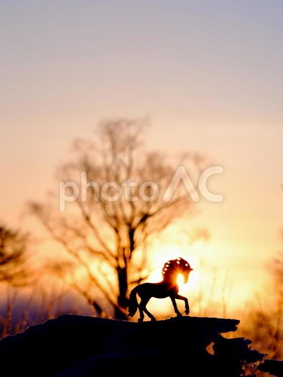 馬のフィギュアと朝焼け 馬,シュライヒ,フィギュアの写真素材