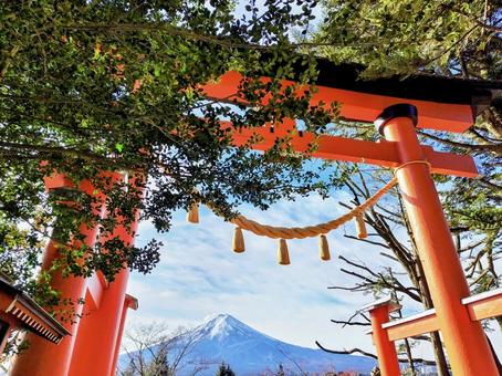 赤い鳥居から見える冬の富士山 富士山,新倉富士浅間神社,赤いの写真素材