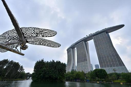 マリーナベイサンズ マリーナベイサンズ 外国,シンガポール,ガーデンの写真素材