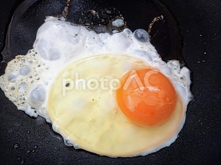 目玉焼きを焼く 目玉焼き,卵,玉子の写真素材