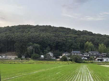 田舎の田園 田舎の田園の写真