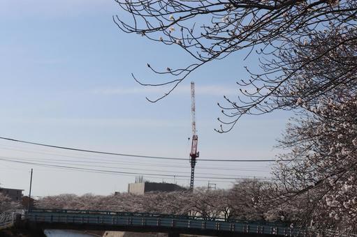 宇美町 川 宇美町 川の写真