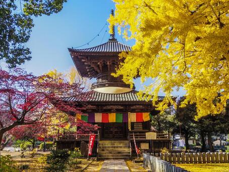 【栃木県】足利市・鑁阿寺 鑁阿寺,足利市,寺社仏閣の写真素材