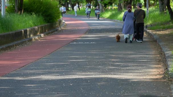 公園 公園の写真
