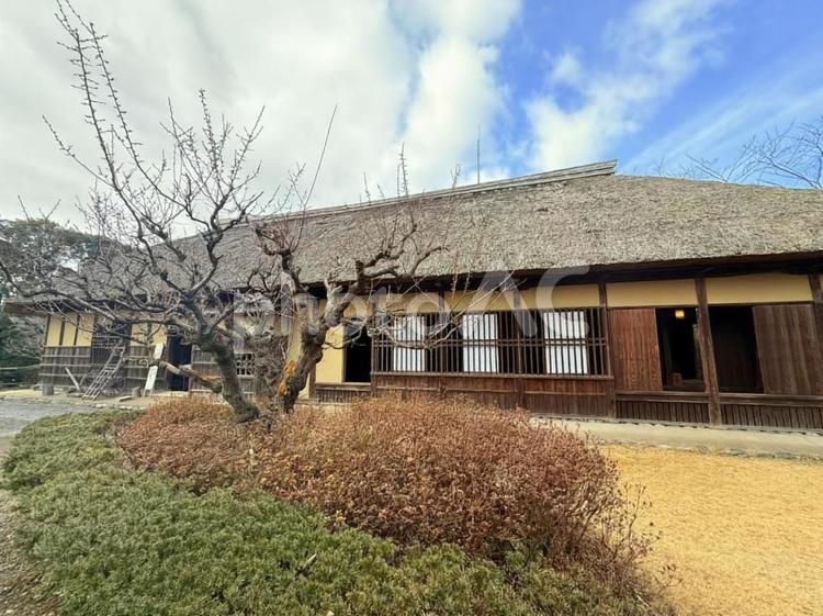 わらぶき屋根　旧安西家住宅 わらぶき屋根,昔,古民家の写真素材