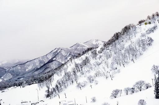 雪の斜面 雪景色,銀世界,斜面の写真素材