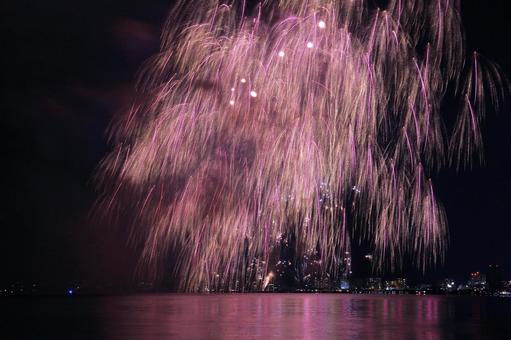 湖上打ち上げ花火・すだれ桜/松江水郷祭 湖上打ち上げ花火・すだれ桜/松江水郷祭 打ち上げ花火,花火,夏の写真素材