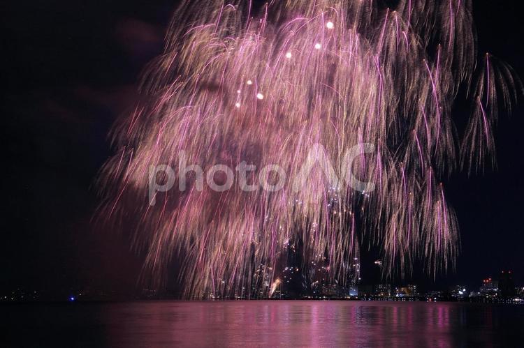 湖上打ち上げ花火・すだれ桜/松江水郷祭 打ち上げ花火,花火,夏の写真素材