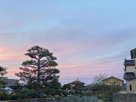 淡い空 淡い空 空,景色,綺麗の写真素材